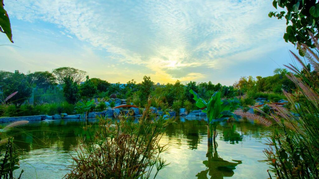gallery-image-48