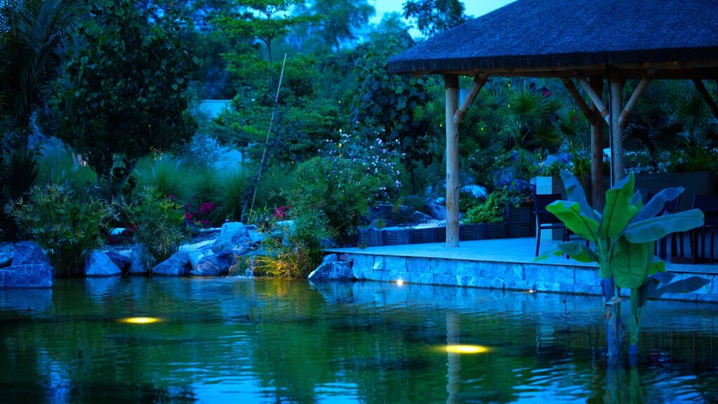 gallery-image-50