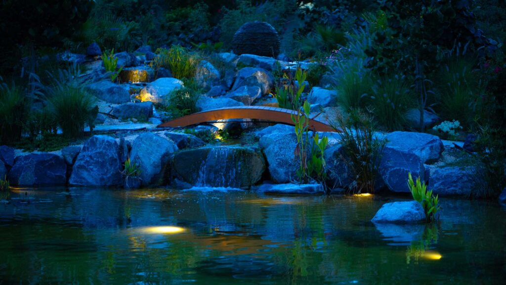 gallery-image-51