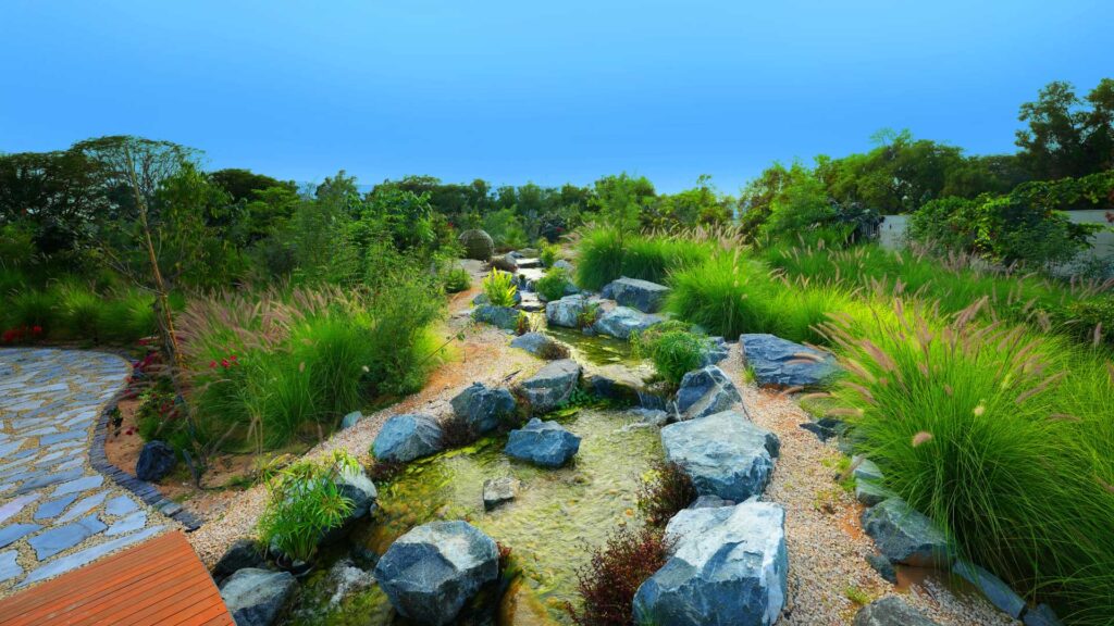 gallery-image-55