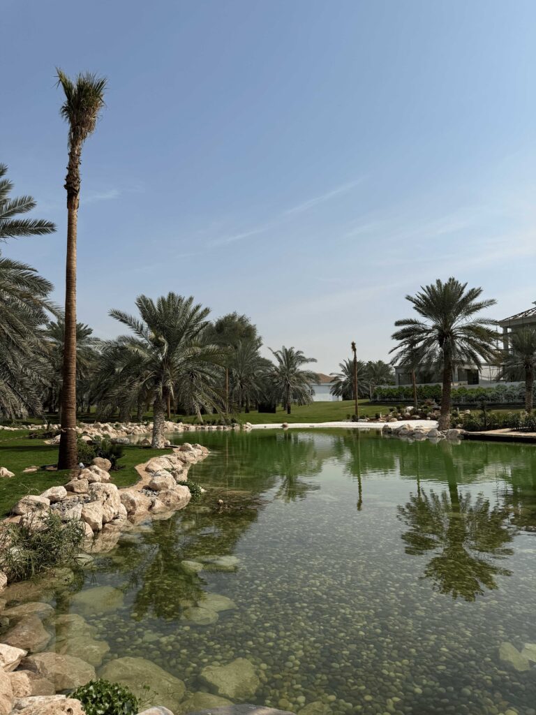 gallery-image-73