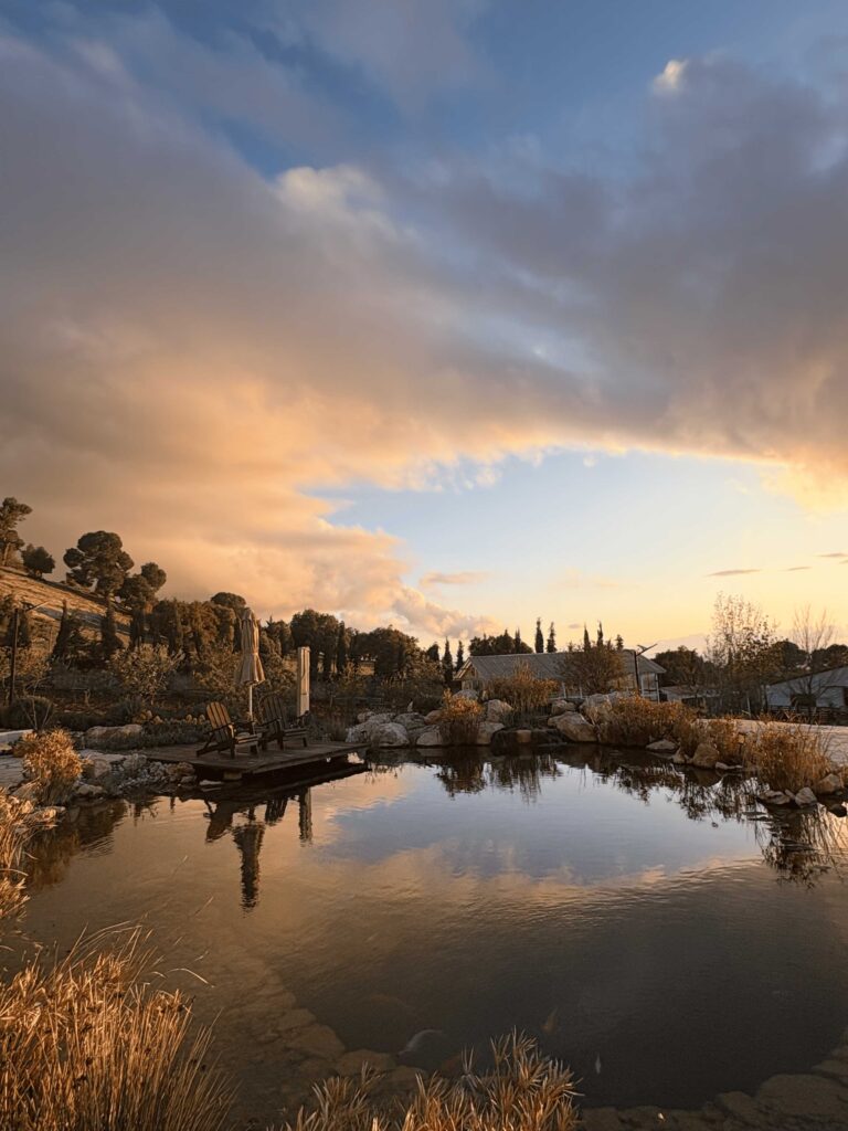 gallery-image-77