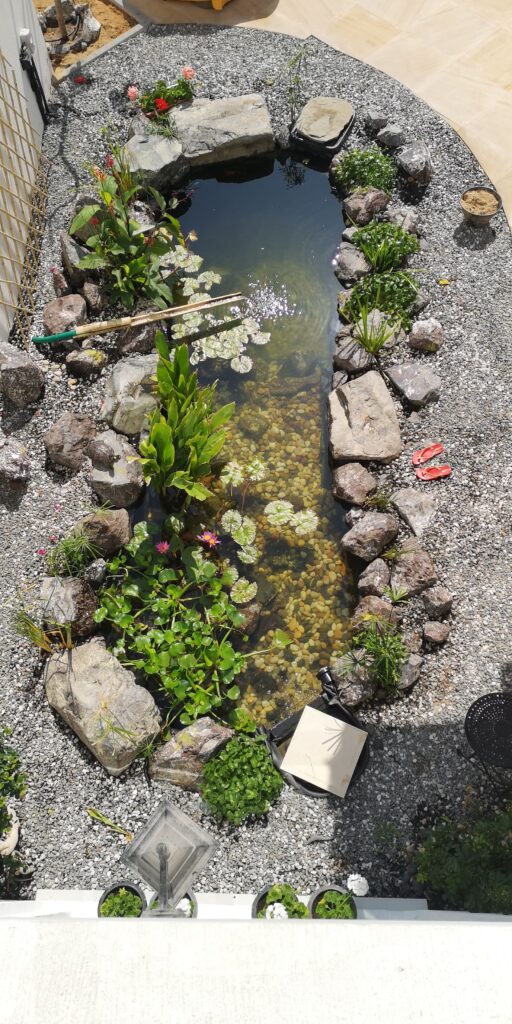 gallery-image-78