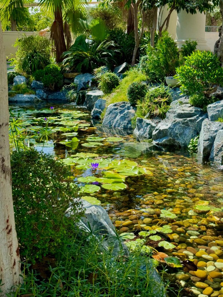 gallery-image-80