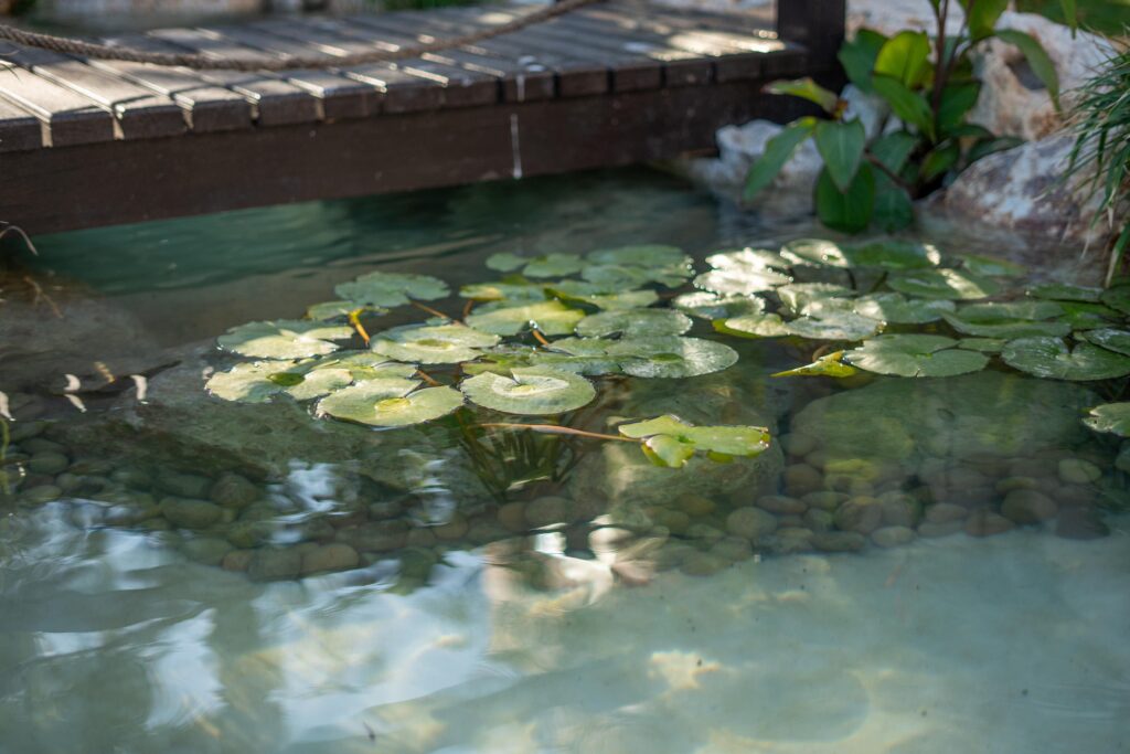 gallery-image-84