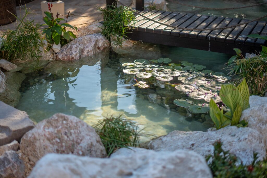 gallery-image-85